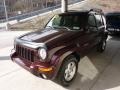 2004 Deep Molten Red Pearl Jeep Liberty Limited 4x4  photo #5