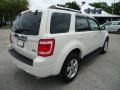 2010 White Suede Ford Escape Limited V6  photo #12