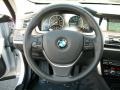 Black Steering Wheel Photo for 2010 BMW 5 Series #47309654