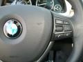 Black Controls Photo for 2010 BMW 5 Series #47309684