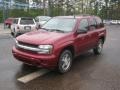 Red Jewel Tint Coat - TrailBlazer LS Photo No. 1