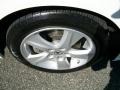 Premium White Pearl - TSX Sedan Photo No. 34