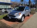 2008 Whistler Silver Metallic Honda CR-V EX-L 4WD  photo #1