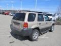 Dune Pearl Metallic - Escape XLT V6 4WD Photo No. 9