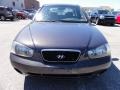 Midnight Gray - Elantra GLS Photo No. 3