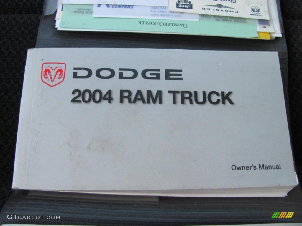 2004 Ram 1500 SLT Sport Quad Cab 4x4 - Graphite Metallic / Dark Slate Gray photo #4