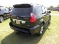 Black Onyx - GX 470 Photo No. 14