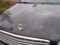 2003 Sable Black Cadillac DeVille Sedan  photo #6