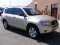Savannah Metallic - RAV4 4WD Photo No. 1