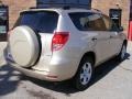 Savannah Metallic - RAV4 4WD Photo No. 3