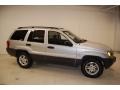 2004 Bright Silver Metallic Jeep Grand Cherokee Laredo  photo #4
