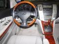 Millenium Silver Metallic - RX 350 Photo No. 14