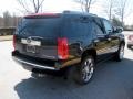 Blue Chip - Escalade AWD Photo No. 4