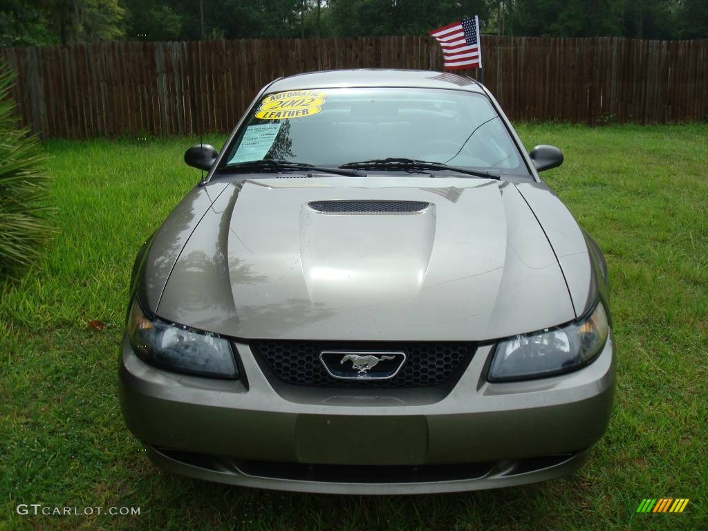 2002 Mustang V6 Coupe - Mineral Grey Metallic / Dark Charcoal photo #2