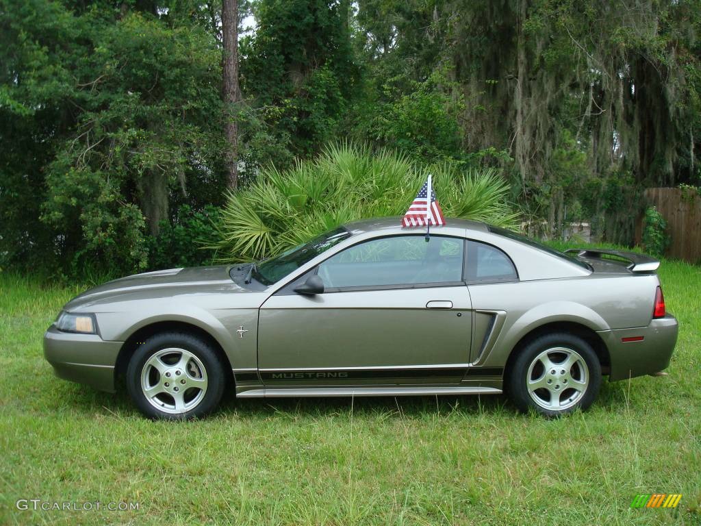 2002 Mustang V6 Coupe - Mineral Grey Metallic / Dark Charcoal photo #3