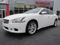 Winter Frost White - Maxima 3.5 SV Photo No. 1