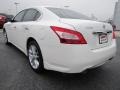 Winter Frost White - Maxima 3.5 SV Photo No. 3