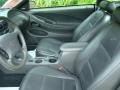 2002 Mineral Grey Metallic Ford Mustang V6 Coupe  photo #11