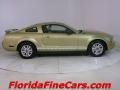 2006 Legend Lime Metallic Ford Mustang V6 Premium Coupe  photo #4