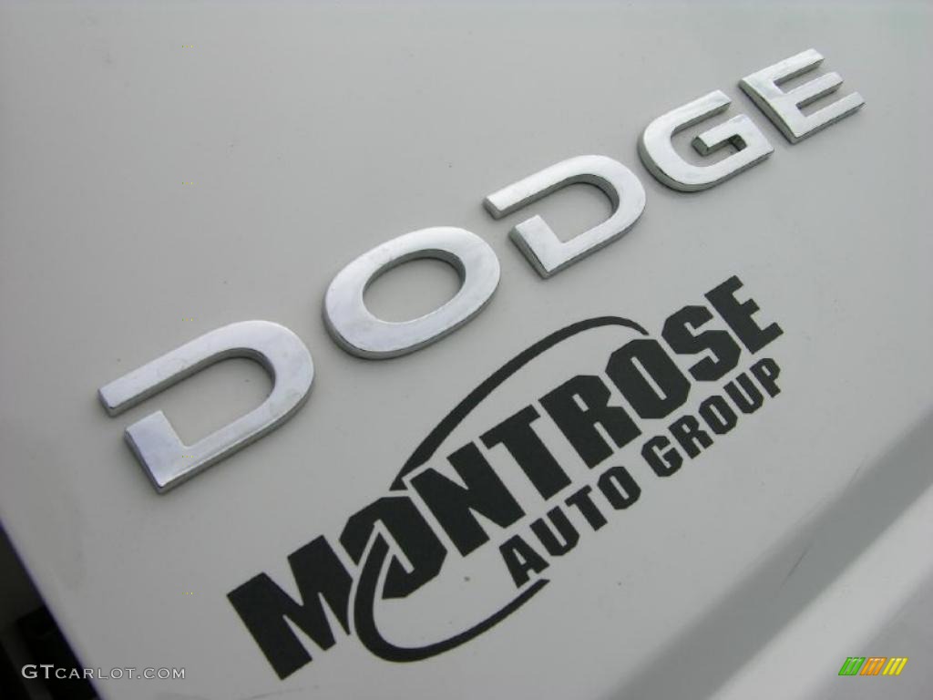 2010 Nitro SE 4x4 - Stone White / Khaki photo #37