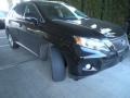 2010 Smokey Granite Mica Lexus RX 350 AWD  photo #2