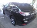 2010 Smokey Granite Mica Lexus RX 350 AWD  photo #5