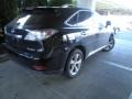 2010 Smokey Granite Mica Lexus RX 350 AWD  photo #6