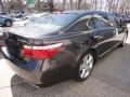 Truffle Mica - LS 460 L Photo No. 4