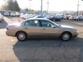 Light Bronzemist Metallic - LeSabre Limited Photo No. 5