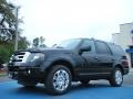 Tuxedo Black Metallic 2011 Ford Expedition Limited Exterior