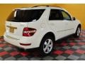 Arctic White - ML 350 4Matic Photo No. 4