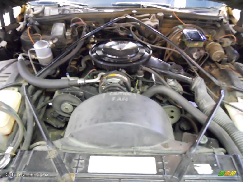 1982 Fleetwood Brougham d