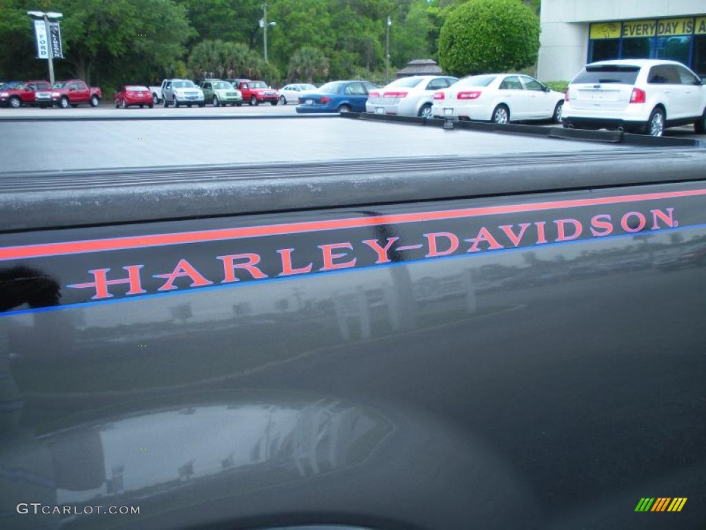 2006 F150 Harley-Davidson SuperCab 4x4 - Dark Shadow Grey Metallic / Black/Medium Flint/Red photo #10