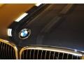 2006 Black Sapphire Metallic BMW 7 Series 750Li Sedan  photo #24