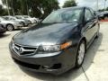 2008 Carbon Gray Pearl Acura TSX Sedan  photo #13
