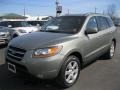 2008 Natural Khaki Green Hyundai Santa Fe Limited 4WD  photo #1