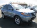 2009 Silver Blue Hyundai Santa Fe SE  photo #15