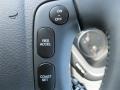 Gray Controls Photo for 2009 Hyundai Santa Fe #47367140