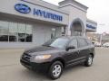 Ebony Black - Santa Fe GLS 4WD Photo No. 1