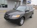 Ebony Black - Santa Fe GLS 4WD Photo No. 2