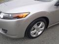 Palladium Metallic - TSX Sedan Photo No. 16