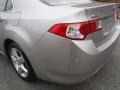 Palladium Metallic - TSX Sedan Photo No. 19