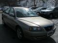 Champagne Beige - Elantra GLS Sedan Photo No. 14