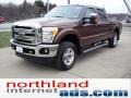 Golden Bronze Metallic - F250 Super Duty XLT Crew Cab 4x4 Photo No. 4