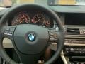2011 BMW 5 Series Oyster/Black Interior Steering Wheel Photo