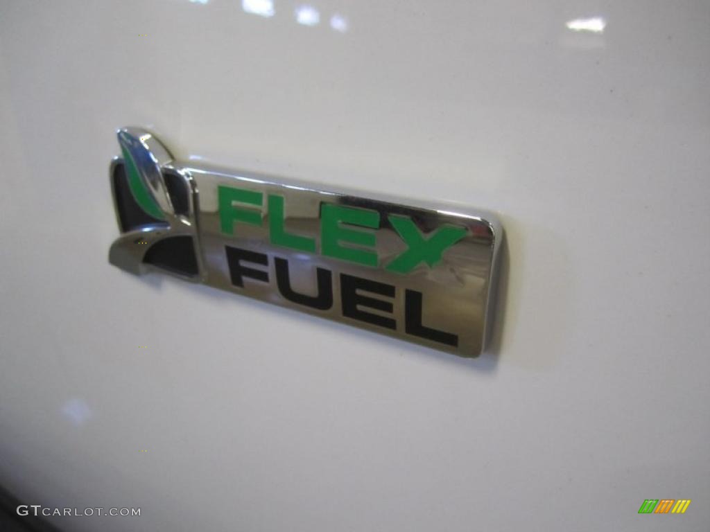 2010 Ford Expedition Eddie Bauer 4x4 Marks and Logos Photo #47378090