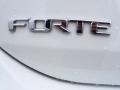  2011 Forte Koup EX Logo
