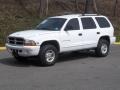 2000 Bright White Dodge Durango SLT 4x4  photo #6