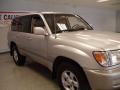 Champagne Pearl - Land Cruiser  Photo No. 10