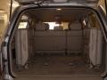Champagne Pearl - Land Cruiser  Photo No. 29